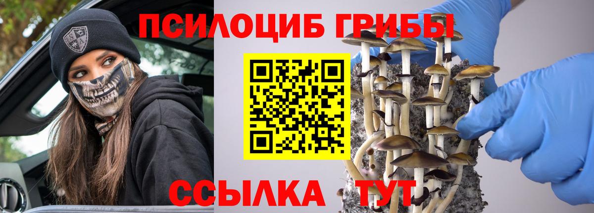 Севастополь  Псилоцибиновые грибы мухоморы  Вход с VPN 